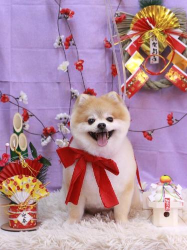 20230128モコくん